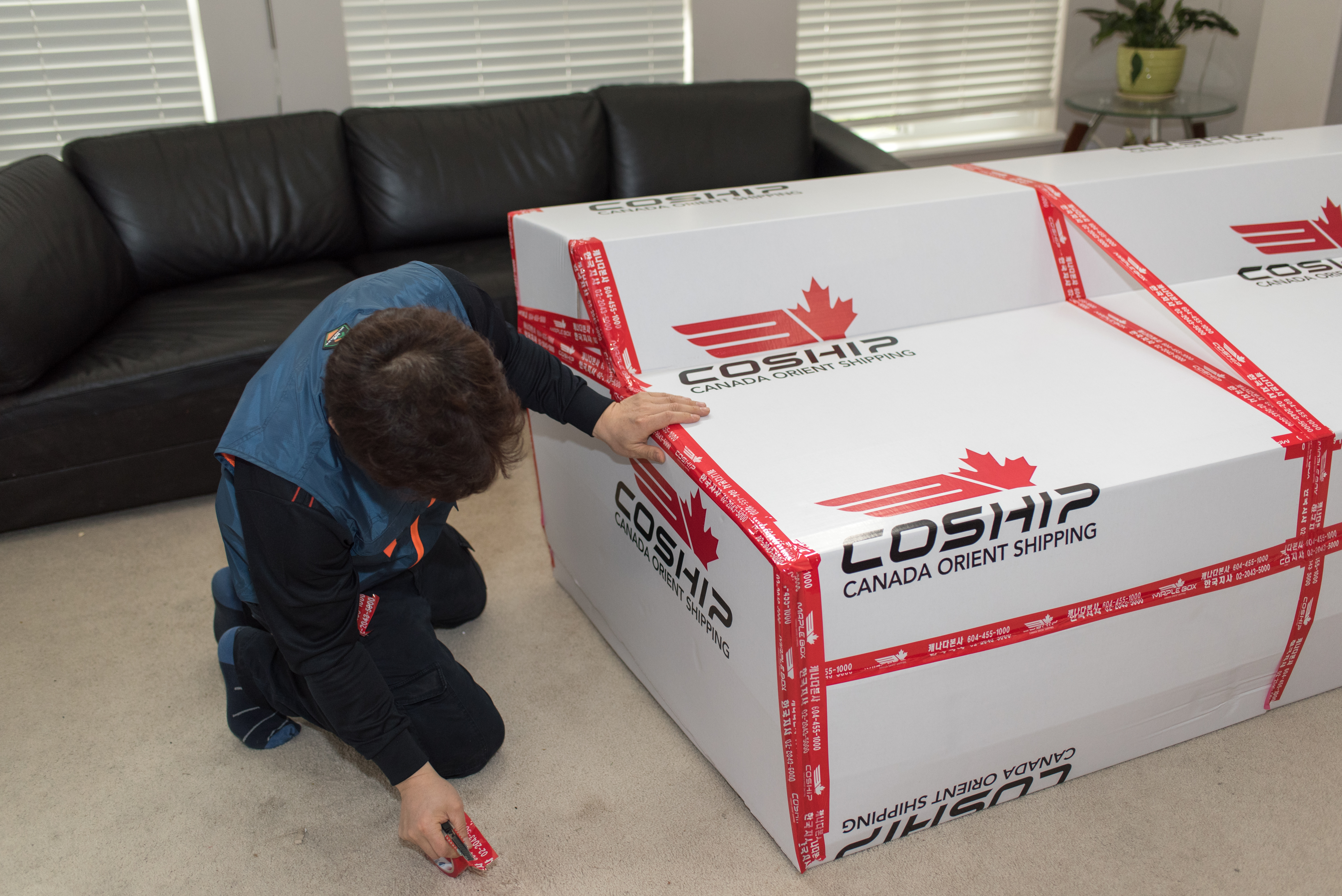 Professional Packing